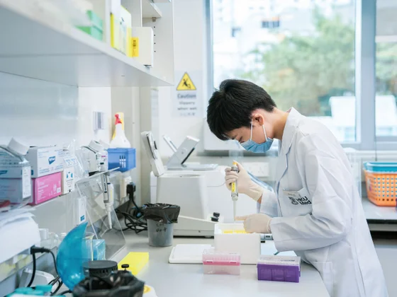 The School of Biomedical Sciences seeks fundamental insights into the ways living systems function at the molecular and cellular levels, and use multidisciplinary approaches to apply these insights in a biomedical context.